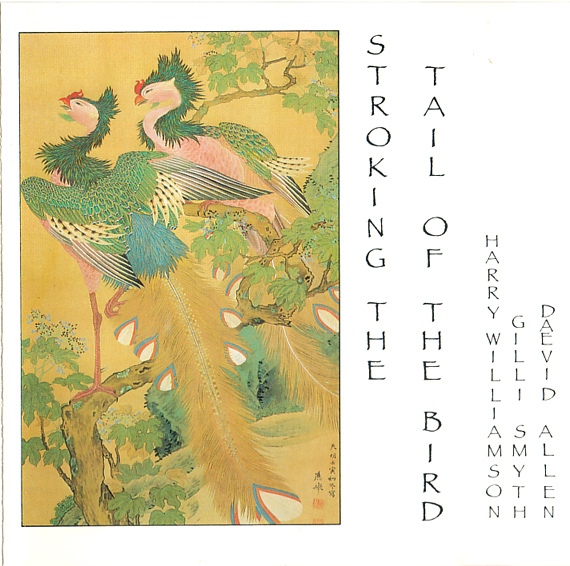 Daevid Allen / Gilli Smyth / Harry Williamson — Stroking the Tail of the Bird